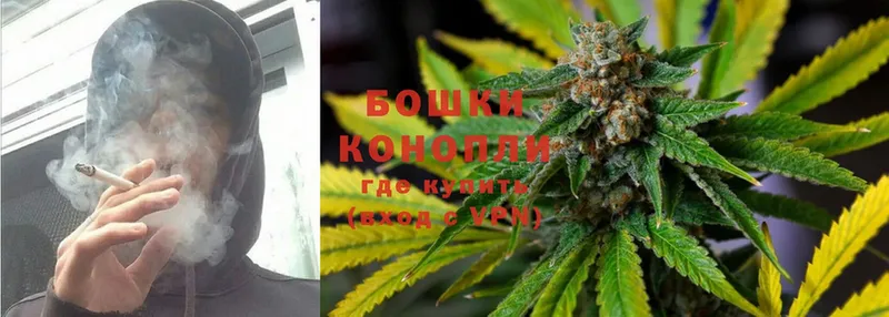 Шишки марихуана SATIVA & INDICA  магазин    Гусев 